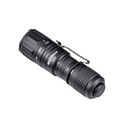 NEXTORCHTA20_5.jpg