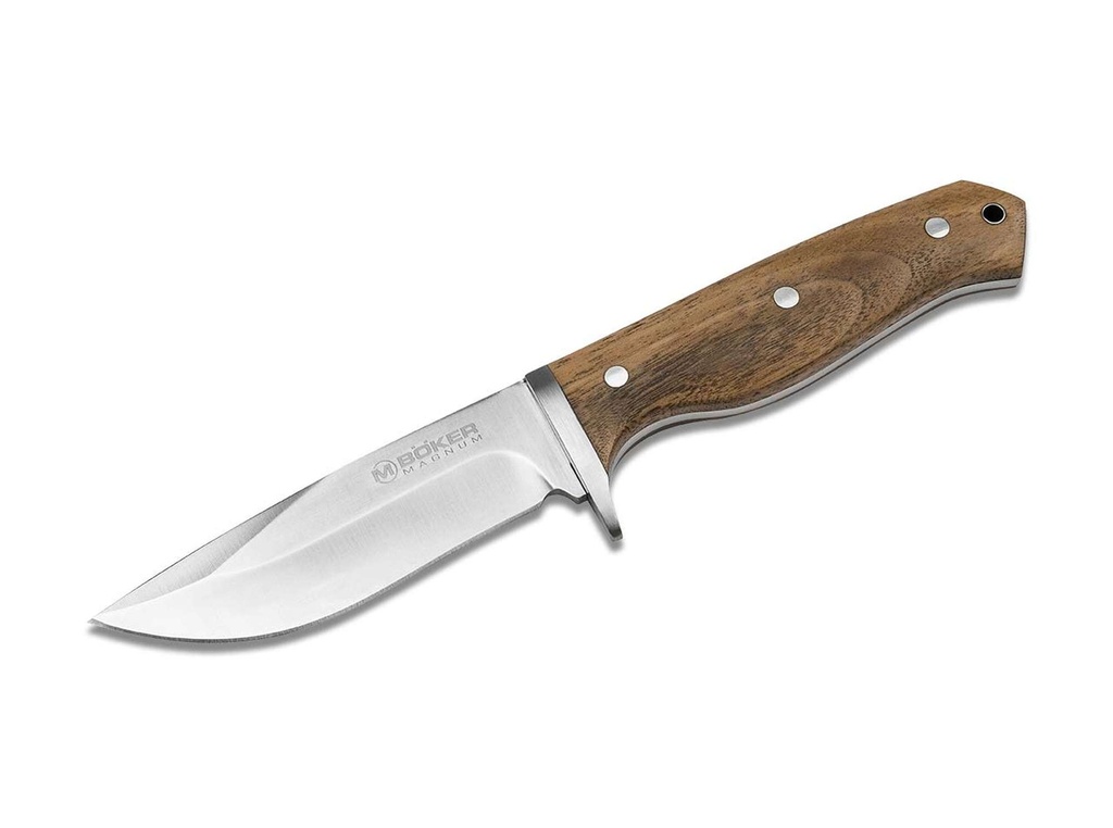 Magnum Walnut Drop Braun
