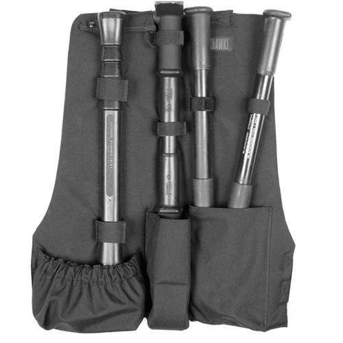 Dynamic Entry Europa Interventions-Kit